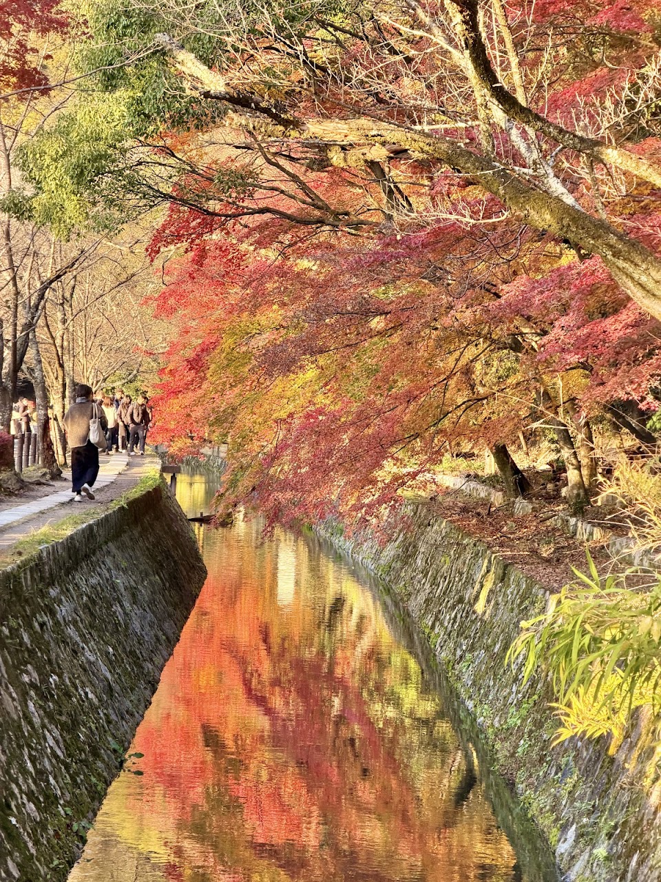 Philosopher's Path (Tetsugaku no Michi), North End (2)