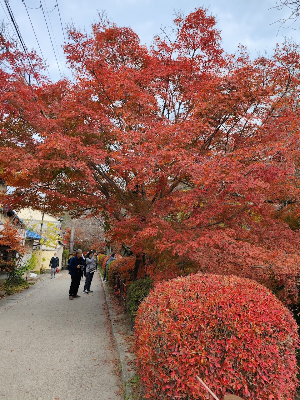 Philosopher's Path (Tetsugaku no Michi), North End (5)