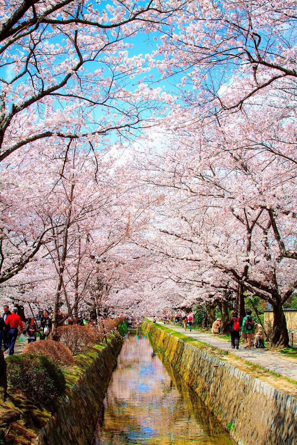 Philosopher's Path (Tetsugaku no Michi), North End