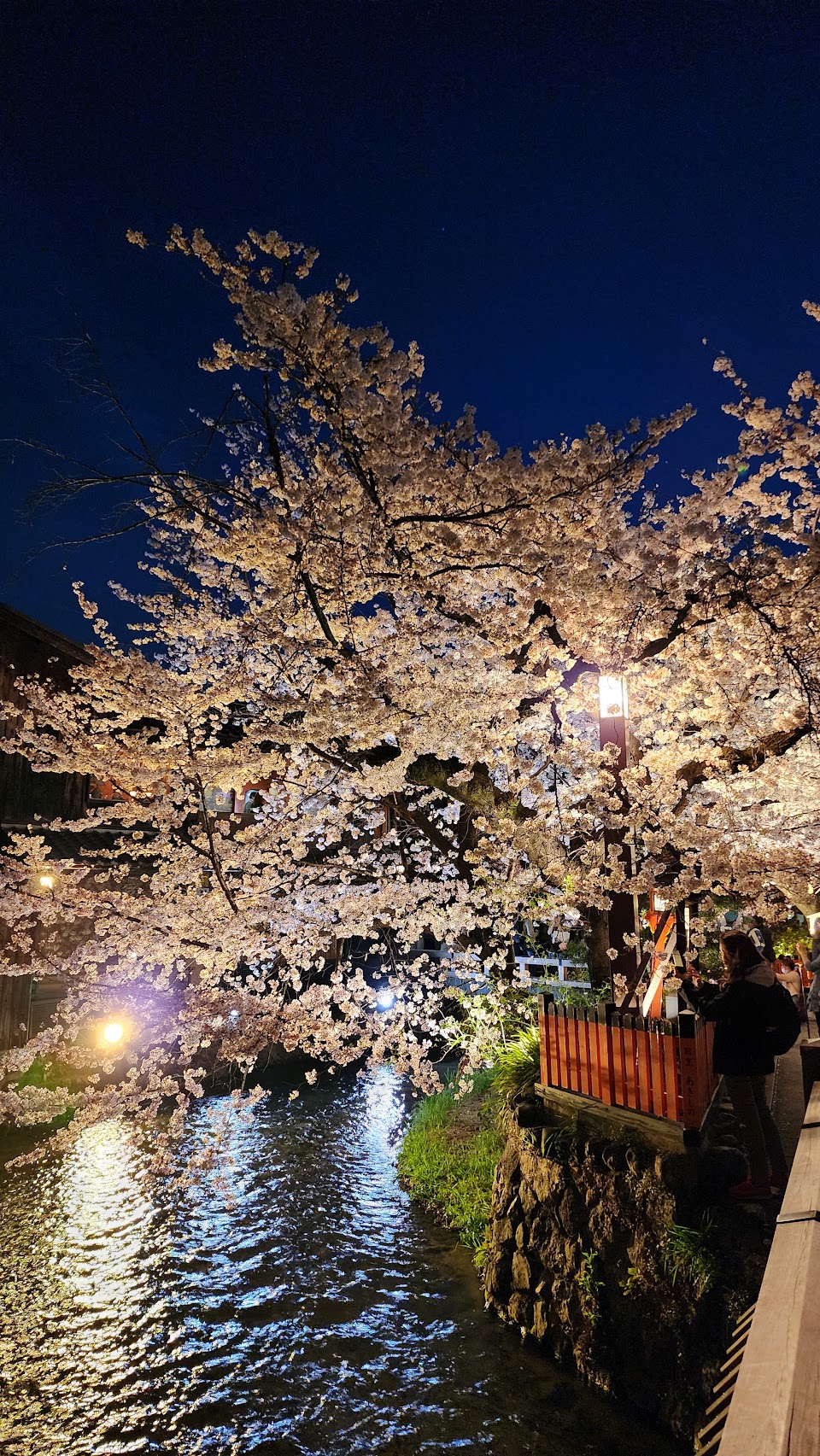 Shirakawa Canal