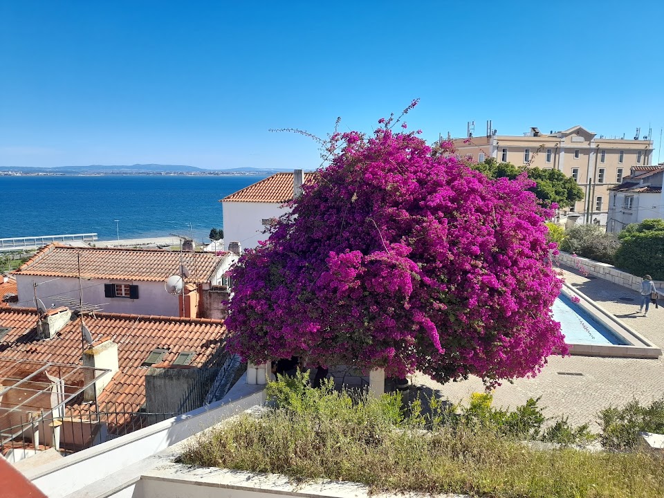 Miradouro de Santa Luzia